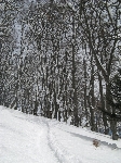 /Ski/2008/Images/1543/mini-IMG_2089Icon.jpg