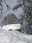 /Ski/2008/Images/1543/mini-IMG_2090Icon.jpg