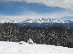 /Ski/2008/Images/1543/mini-IMG_2093Icon.jpg