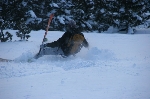 /Ski/2008/Images/1544/IMG_WEB_009Icon.jpg