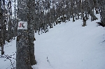 /Ski/2008/Images/1556/Trelod00003Icon.jpg