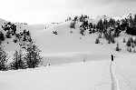 /Ski/2008/Images/1559/PortraitAncel0041Icon.jpg
