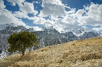 /Ski/2008/Images/1565/Larche0090Icon.jpg
