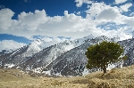 /Ski/2008/Images/1565/Larche0093Icon.jpg