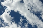 /Ski/2008/Images/1565/Larche0097Icon.jpg