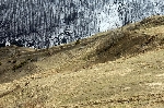 /Ski/2008/Images/1565/Larche0098Icon.jpg