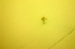 /Ski/2008/Images/1566/Larche0114Icon.jpg