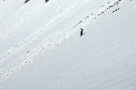 /Ski/2008/Images/1567/Larche0147Icon.jpg