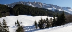 /Ski/2008/Images/1599/IMG_WEB_000Icon.jpg