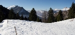 /Ski/2008/Images/1600/IMG_WEB_0000Icon.jpg