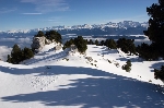 /Ski/2009/Images/1604/IMG_WEB_009Icon.jpg