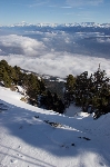 /Ski/2009/Images/1604/IMG_WEB_010Icon.jpg