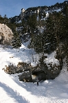 /Ski/2009/Images/1604/IMG_WEB_019Icon.jpg