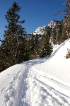 /Ski/2009/Images/1617/IMG_WEB_002Icon.jpg