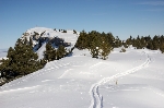 /Ski/2009/Images/1617/IMG_WEB_011Icon.jpg