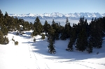 /Ski/2009/Images/1617/IMG_WEB_017Icon.jpg