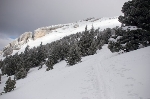 /Ski/2009/Images/1621/IMG_WEB_001Icon.jpg