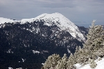 /Ski/2009/Images/1621/IMG_WEB_007Icon.jpg