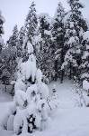 /Ski/2009/Images/1622/IMG_WEB_00Icon.jpg