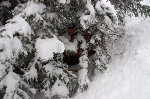 /Ski/2009/Images/1622/IMG_WEB_02Icon.jpg