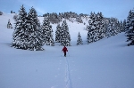 /Ski/2009/Images/1623/IMG_WEB_000Icon.jpg