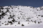 /Ski/2009/Images/1626/IMG_WEB_013Icon.jpg