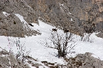 /Ski/2009/Images/1630/IMG_WEB_002Icon.jpg