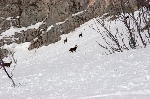 /Ski/2009/Images/1630/IMG_WEB_004Icon.jpg