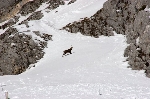 /Ski/2009/Images/1630/IMG_WEB_005Icon.jpg
