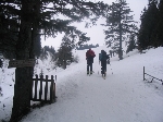 /Ski/2009/Images/1637/PetiteChaurionde00003Icon.JPG