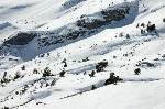 /Ski/2009/Images/1639/RocherRond0069_1Icon.jpg