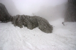 /Ski/2009/Images/1660/IMG_WEB_012Icon.jpg