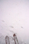 /Ski/2009/Images/1680/IMG_WEB_00Icon.jpg