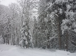 /Ski/2010/Images/1690/P1000942Icon.jpg