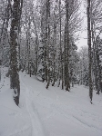 /Ski/2010/Images/1690/P1000943Icon.jpg