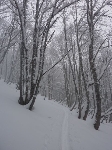 /Ski/2010/Images/1690/P1000945Icon.jpg