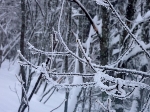 /Ski/2010/Images/1690/P1000947Icon.jpg