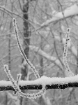 /Ski/2010/Images/1690/P1000948Icon.jpg