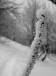 /Ski/2010/Images/1690/P1000952Icon.jpg