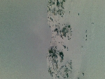 /Ski/2010/Images/1691/10012010006Icon.jpg