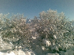 /Ski/2010/Images/1693/11012010008Icon.jpg