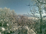 /Ski/2010/Images/1693/11012010009Icon.jpg