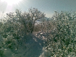 /Ski/2010/Images/1693/11012010010Icon.jpg