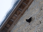 /Ski/2010/Images/1696/image07Icon.jpg