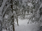 /Ski/2010/Images/1696/image10Icon.jpg