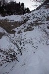 /Ski/2010/Images/1701/IMG_WEB_004Icon.jpg