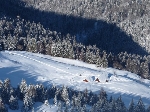 /Ski/2010/Images/1704/P1010014Icon.jpg