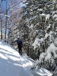 /Ski/2010/Images/1705/P1040800Icon.JPG