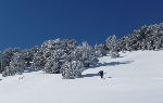 /Ski/2010/Images/1705/P1040817Icon.JPG