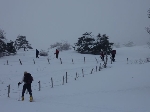 /Ski/2010/Images/1712/P1010033Icon.jpg